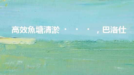 高效魚塘清淤，巴洛仕設(shè)備助力生態(tài)養(yǎng)殖